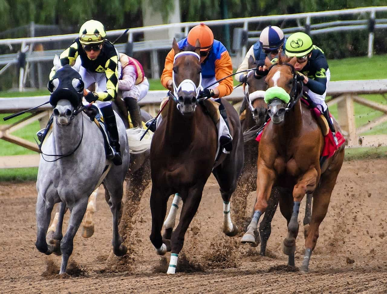 Jinetes de turf montando sus caballos.