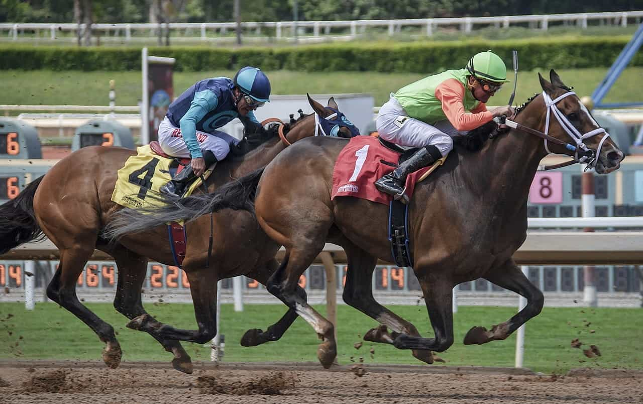 Dos jockeys montando sus caballos de carreras en plena competencia.