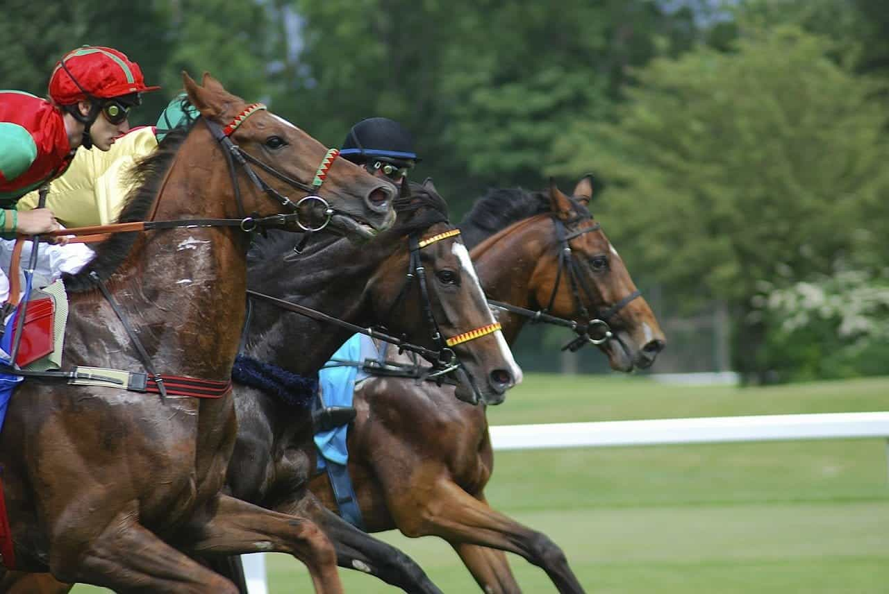 Carrera de caballos.