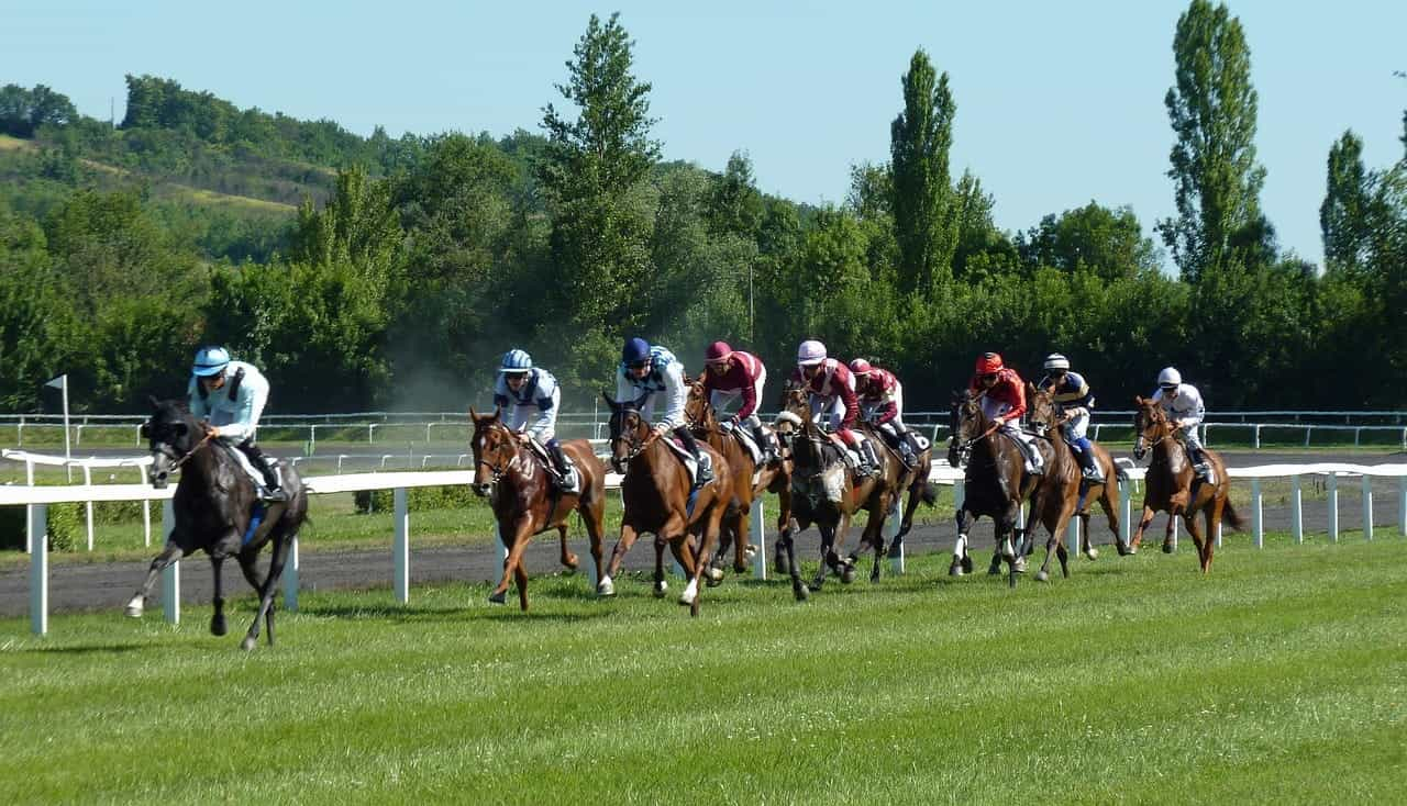 Carrera de caballos en un hipódromo.